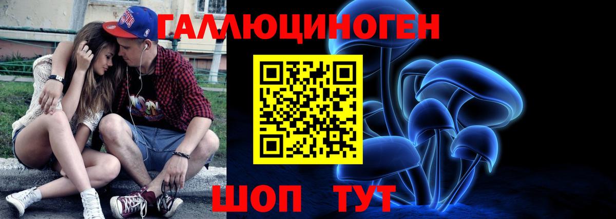 Галлюциногенные грибы прущие грибы  Вход с VPN  Северобайкальск 